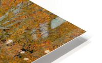 RED ORANGE DELIGHT 2 HD Metal print