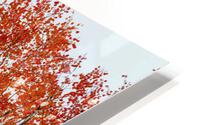 RED ORANGE TRANSFORMATION 2 HD Metal print