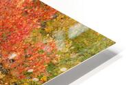 Red Orange Tree HD Metal print