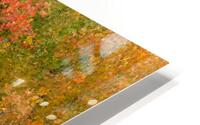 Red Orange Magic HD Metal print