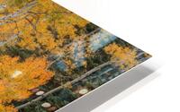 Sudden Color HD Metal print