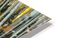 Willing To Bend HD Metal print