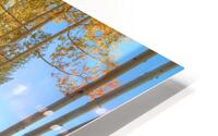 Meandering Brook HD Metal print