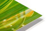 Leaf Patterns HD Metal print