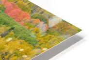 Autumn Rapture HD Metal print