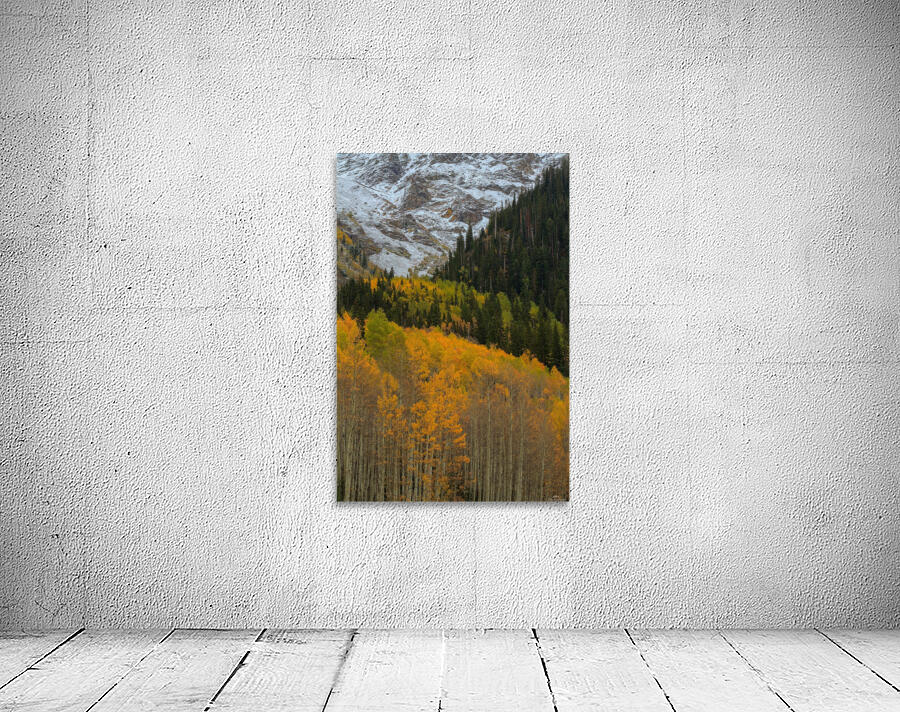 ASPEN  RISE Wall Preview
