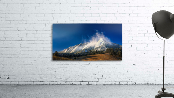 FROZEN WHIMSEY Wall Preview