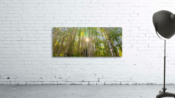 STARSHINE Wall Preview