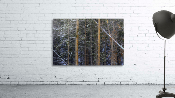 SNOW OUTLINES Wall Preview