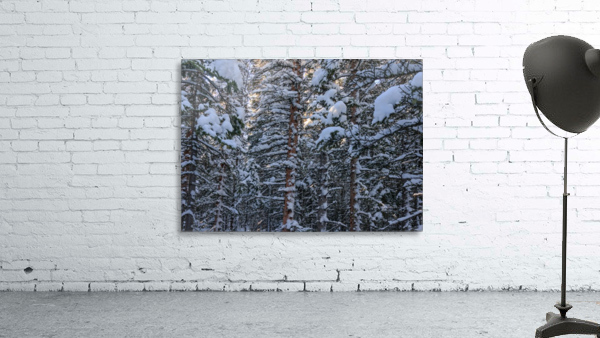 SNOWBOUND Wall Preview