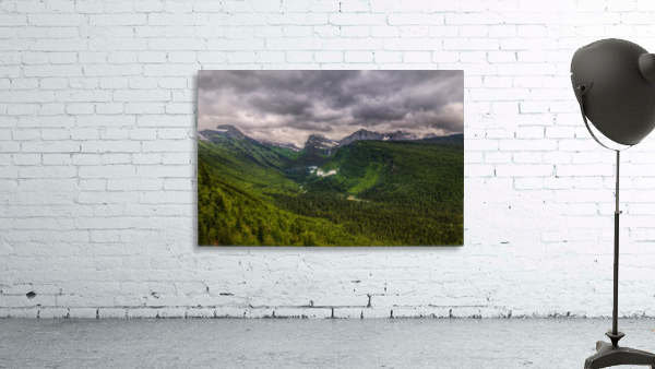 GOING GREEN Wall Preview