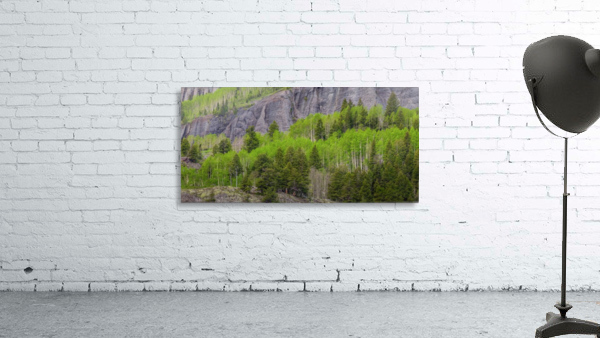 GREEN DREAM Wall Preview