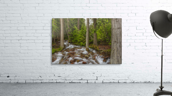 WATER PATH Wall Preview