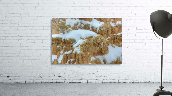 THE LONE TREE Wall Preview