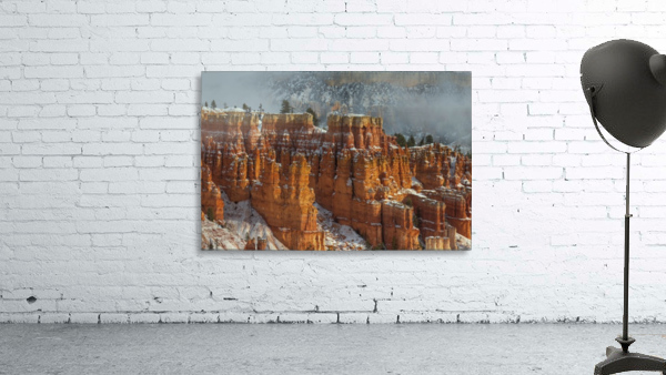 RISE AND SHINE Wall Preview