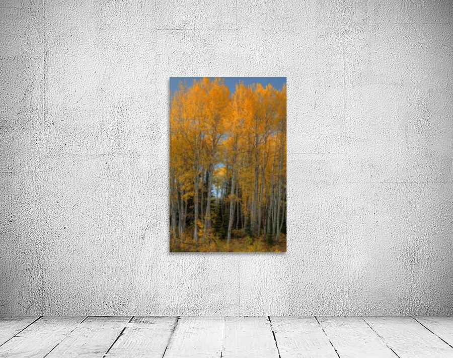 AUTUMN BONFIRE Wall Preview