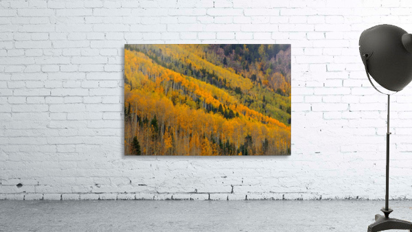 AUTUMN ROWS  Wall Preview