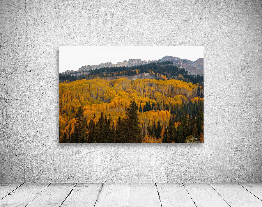 DINOSAUR BACK AUTUMN Wall Preview
