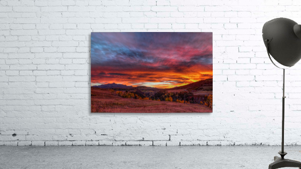 CAPTIVATED BY THE LIGHT Wall Preview