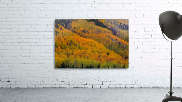 AUTUMN METAMORPHOSIS Wall Preview