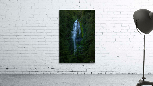 FOCUS ON PROXY FALLS Wall Preview