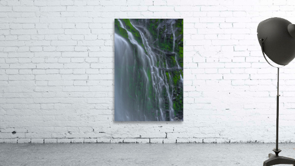 FLOWING GRACE Wall Preview