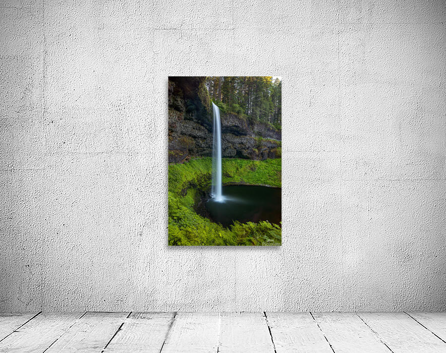 SILVER FALLS OREGON Wall Preview