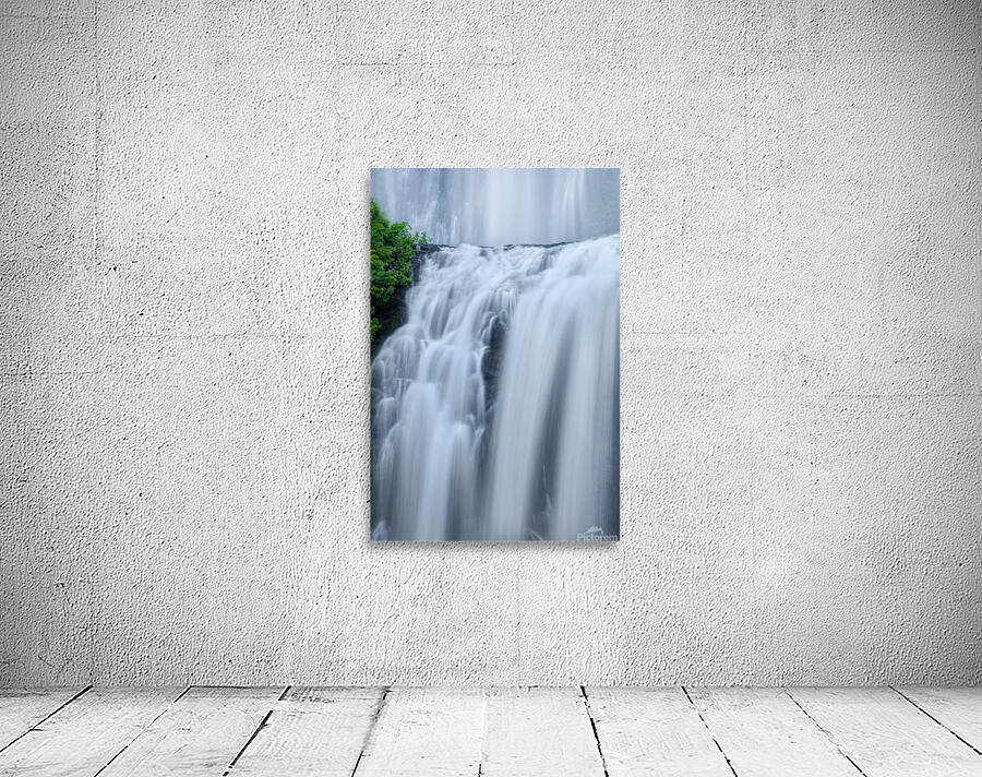 SHOWER CURTAINS Wall Preview
