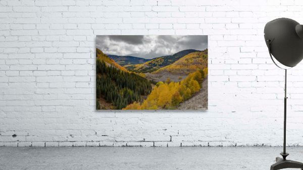 AUTUMN ROADS Wall Preview