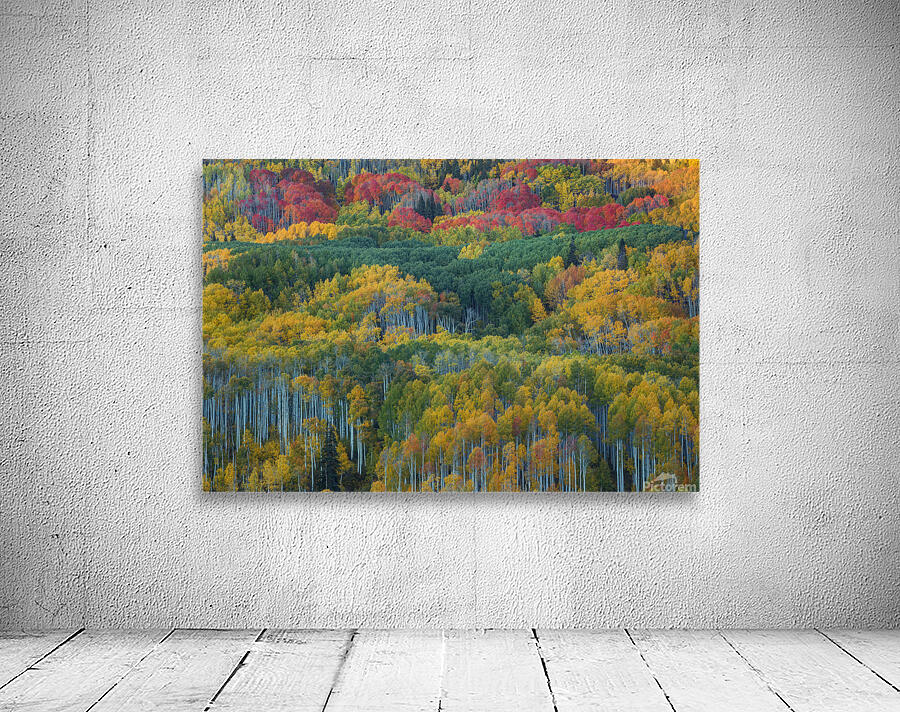 Aspen Mountain Wall Preview