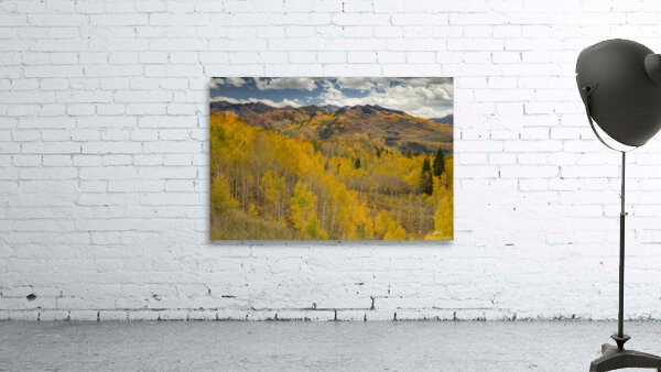 McClure Pass 2 Wall Preview