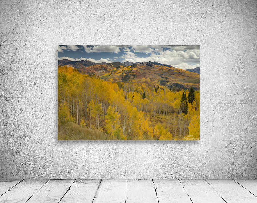 McClure Pass 2 Wall Preview