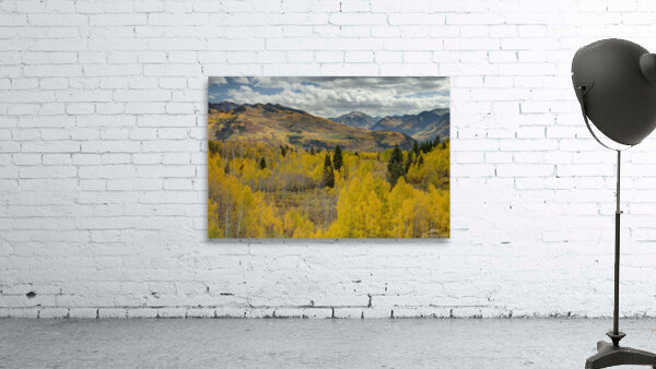 McClure Pass 1 Wall Preview