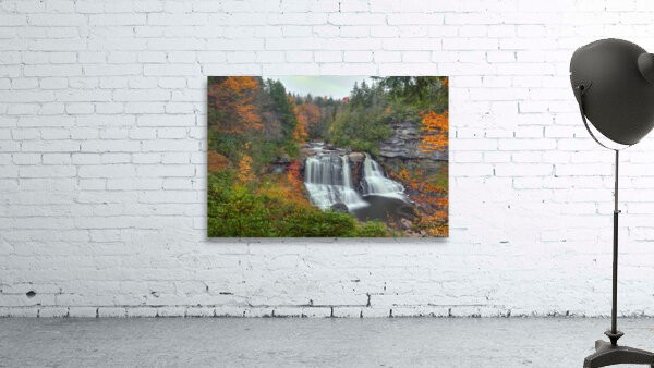 Surrounded By Color Wall Preview
