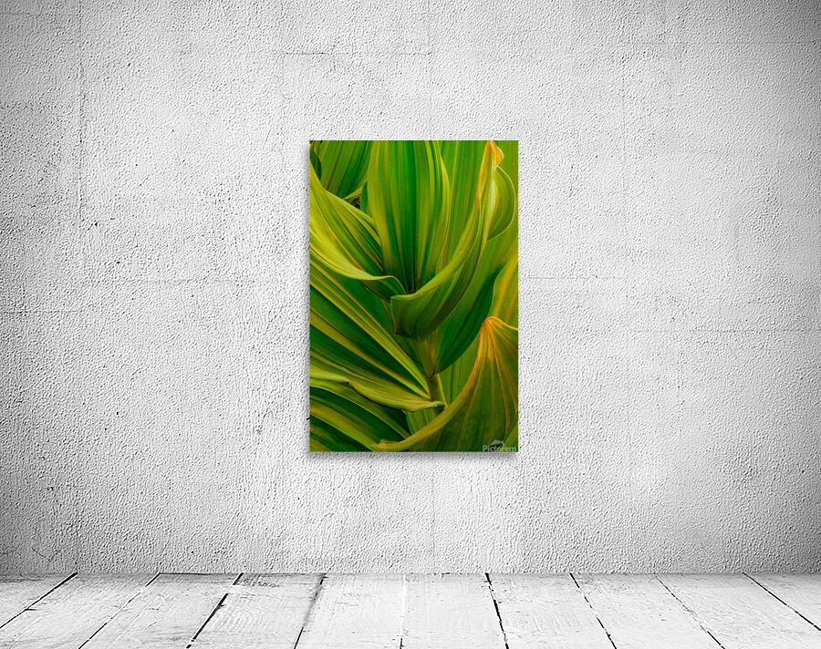 Leaf Patterns Wall Preview