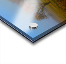 Fin de lEte   Acrylic print