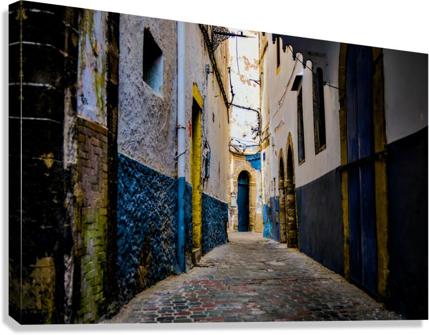 Petite porte bleue    Canvas Print