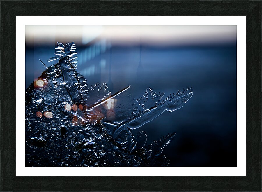 Fossile Ephemere Picture Frame print