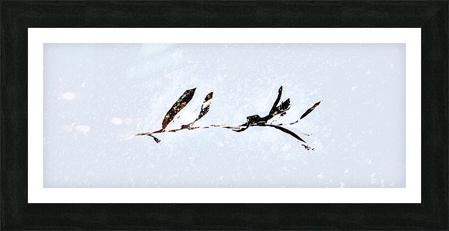 La Delicatesse Picture Frame print