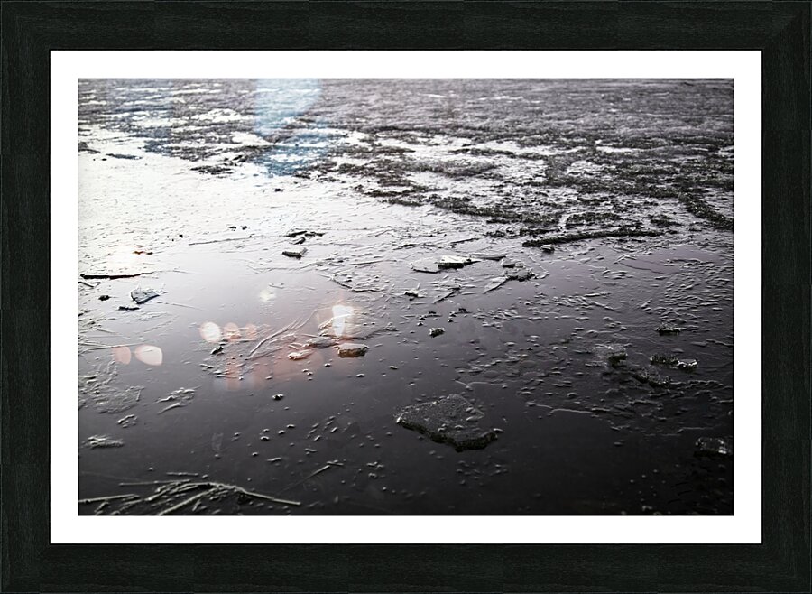 Texture Printaniere  Picture Frame print