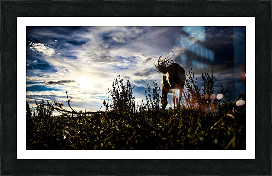 Affranchi Picture Frame print