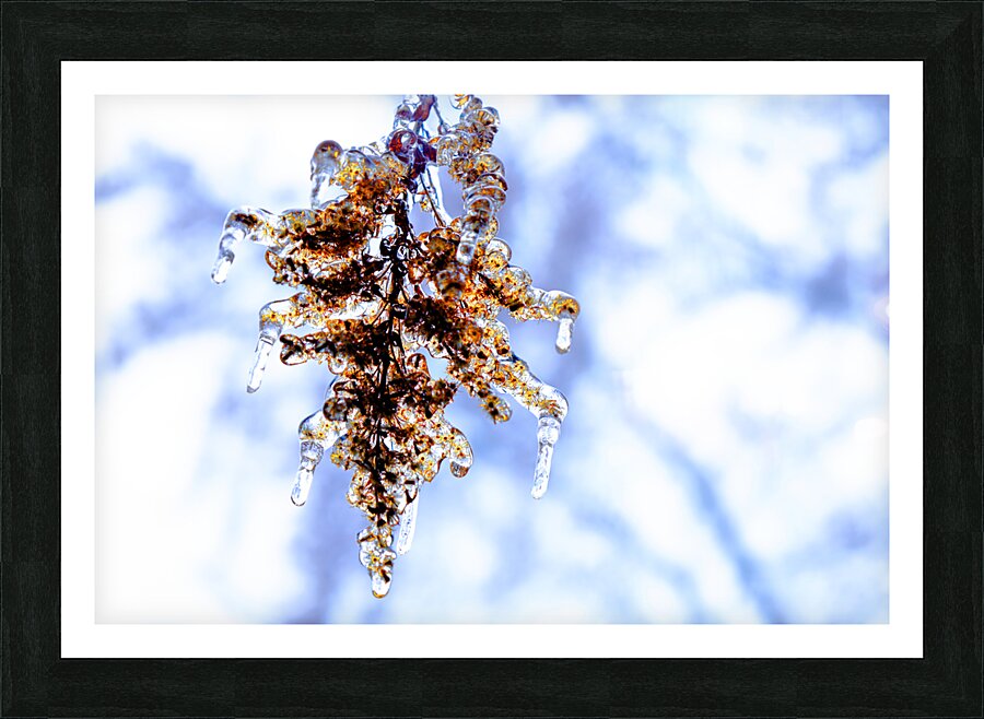 Emprisonne Picture Frame print