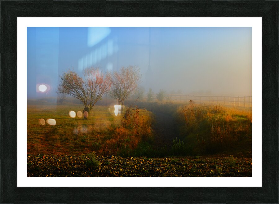 Fin de lEte   Picture Frame print