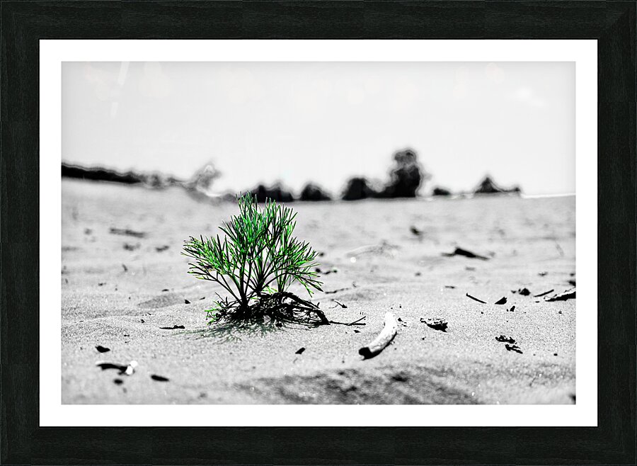 Adaptation Picture Frame print