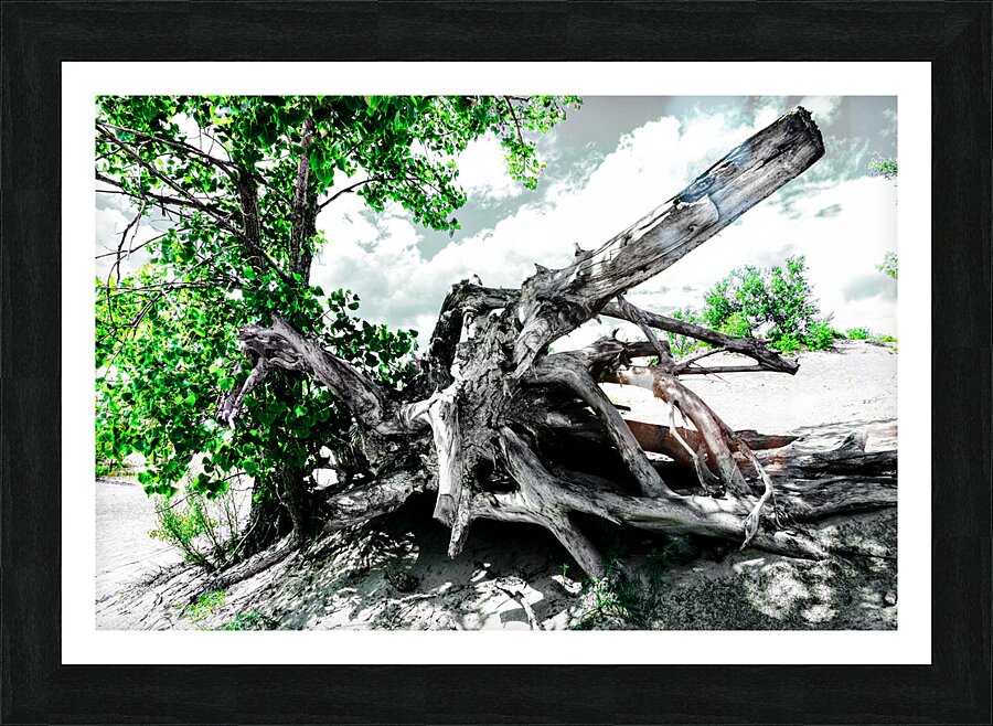 Vivre dans le Sable Picture Frame print