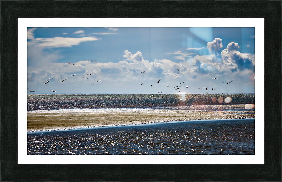 LEnvol Picture Frame print