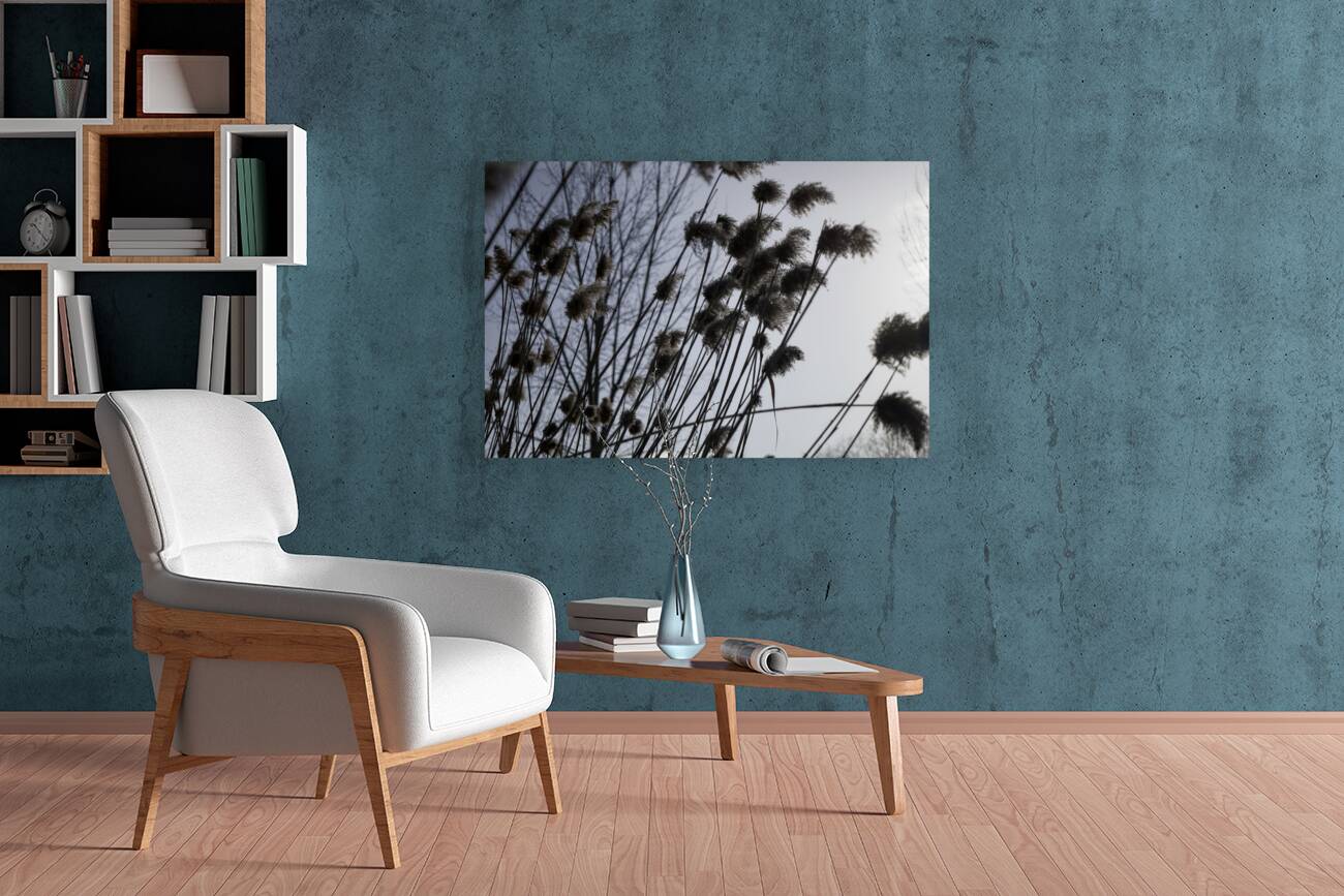 La Douceur Des Roseaux Reproduction