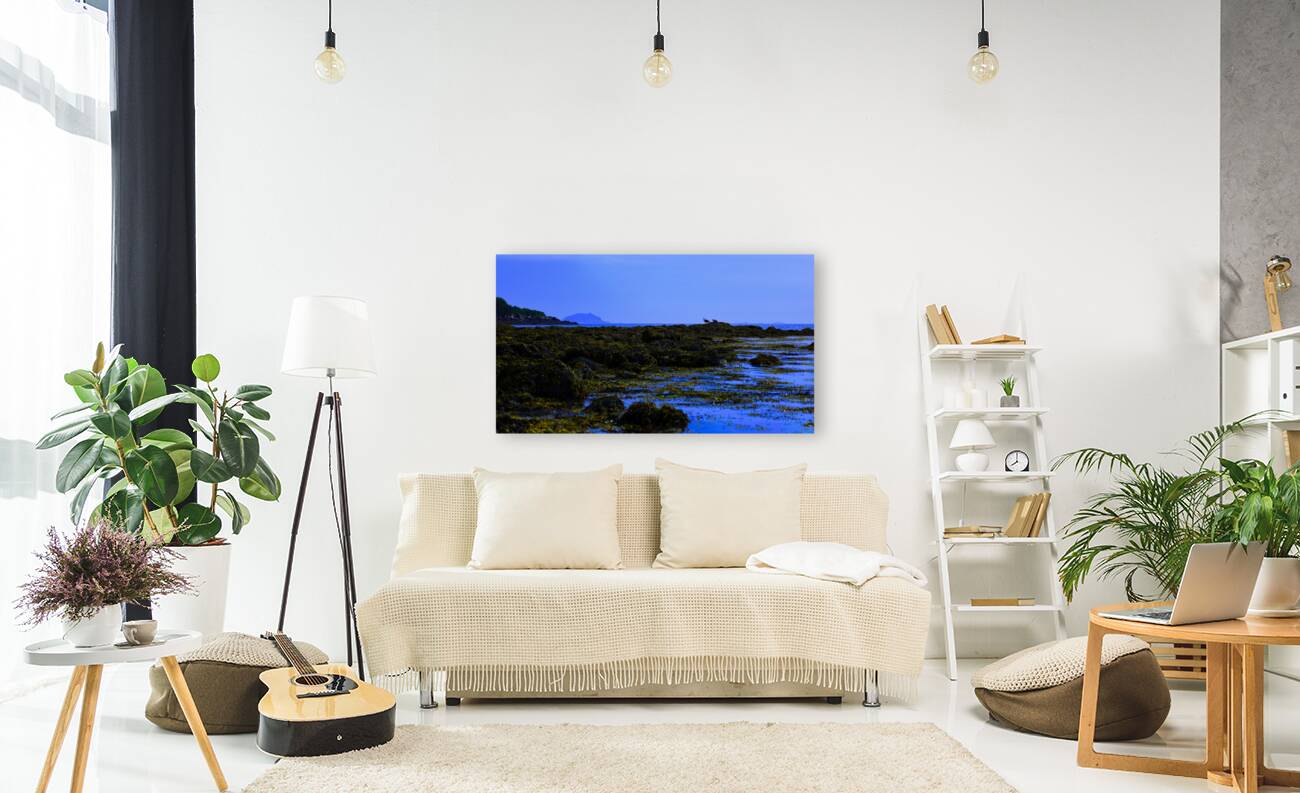 Blue Harpswell   Reproduction