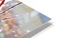 Cerne HD Metal print