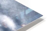 Grisonant   HD Metal print